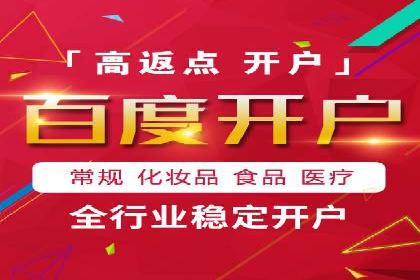 SEO与SEM融合策略：成功案例解析