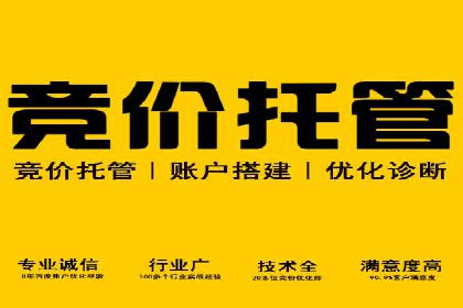 SEM推广案例：竞价代运营助力企业快速崛起